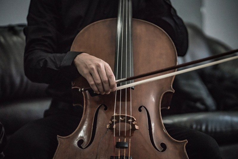 Violoncello Violoncello